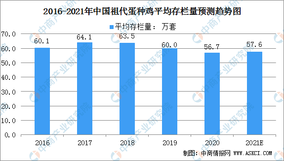 中国禽病网今日鸡蛋价格报价：市场走势分析及未来预测