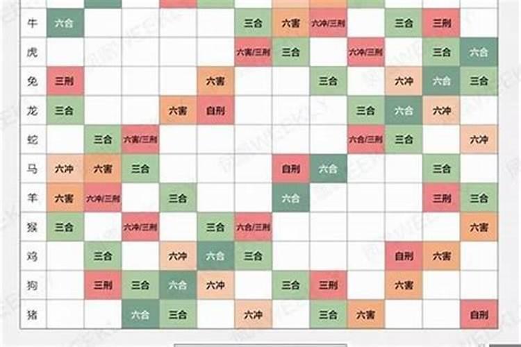 今日相冲生肖是什么？详解生肖相冲及其化解方法