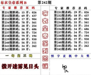 3d今日焰舞字谜深度解析：解读技巧、潜在风险与未来趋势