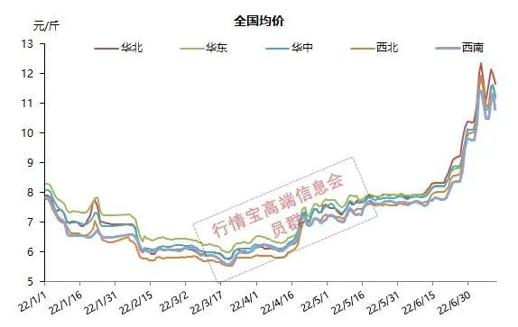 生猪价格今日猪价最新走势价格深度解析：市场波动与未来预测