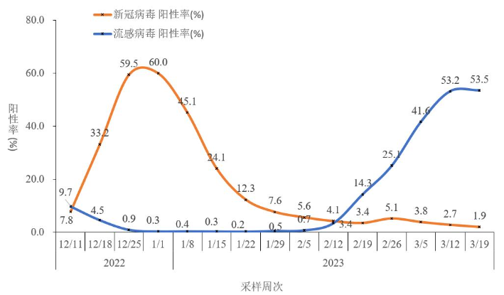 最新病毒感染人数追踪：解读数据背后的真相与挑战