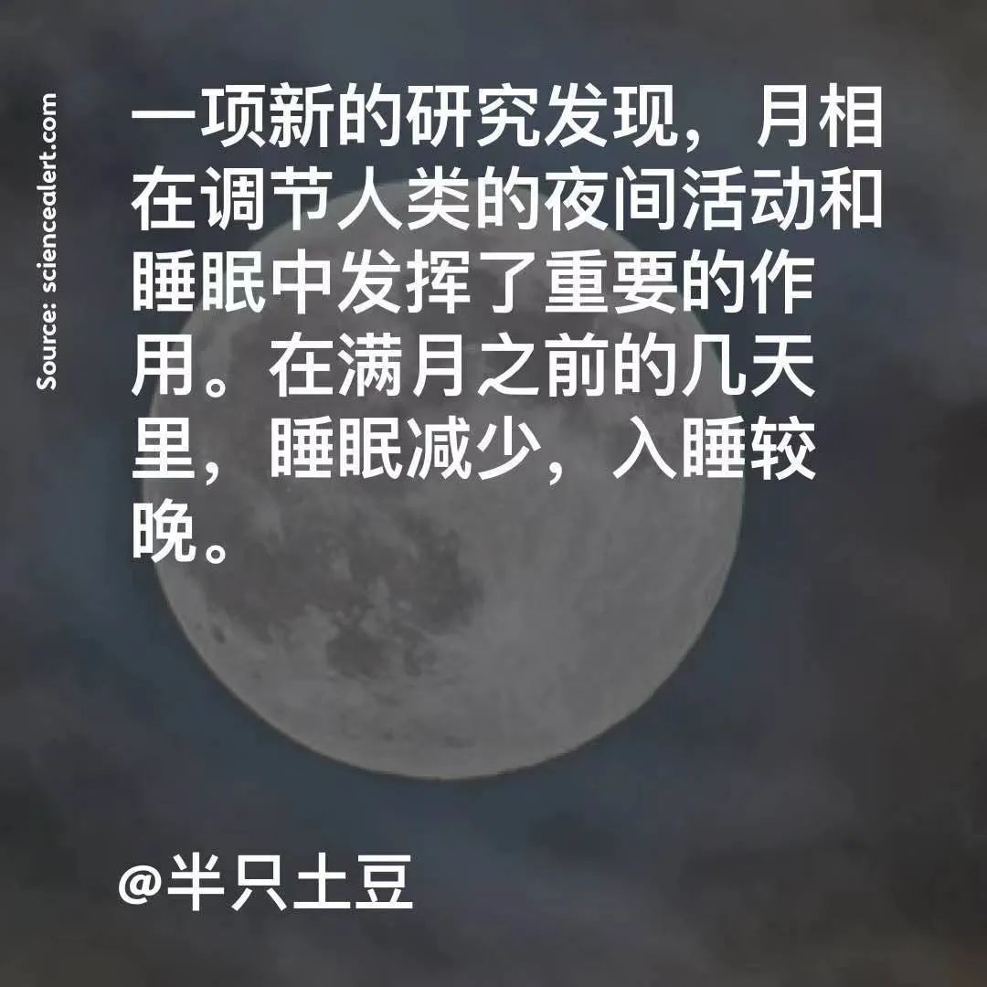 今日黄卜详解：从历史资料到现代应用的全面分析