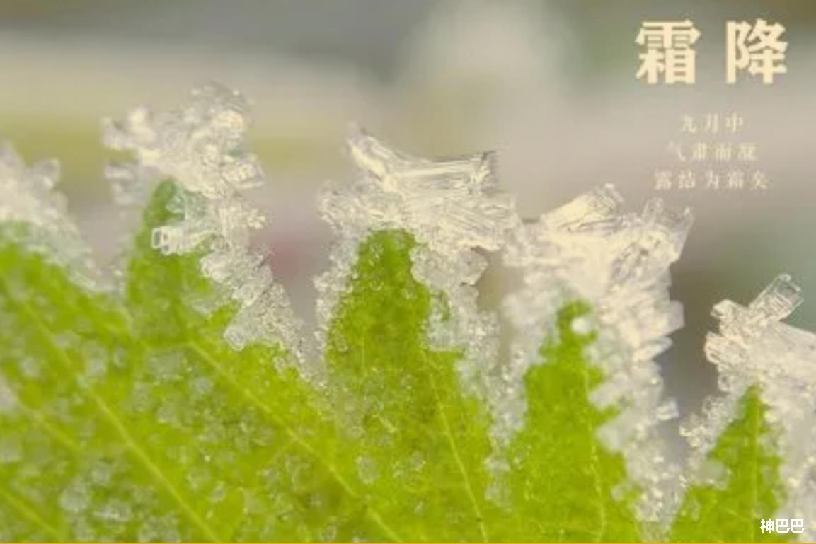 今日霜降：秋末冬初的节气更迭与生活变迁