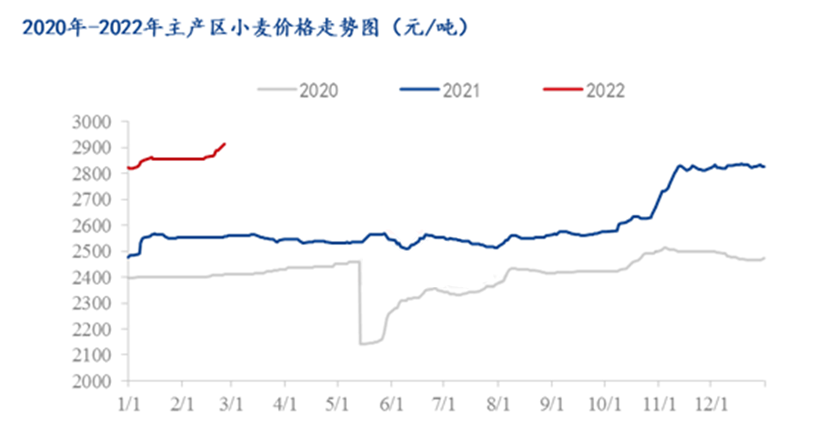 山东小麦价格今日价一斤多少钱？最新行情深度解析及未来趋势预测