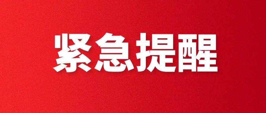 廊坊今日限号查询：最新限行规定及便捷查询方法详解