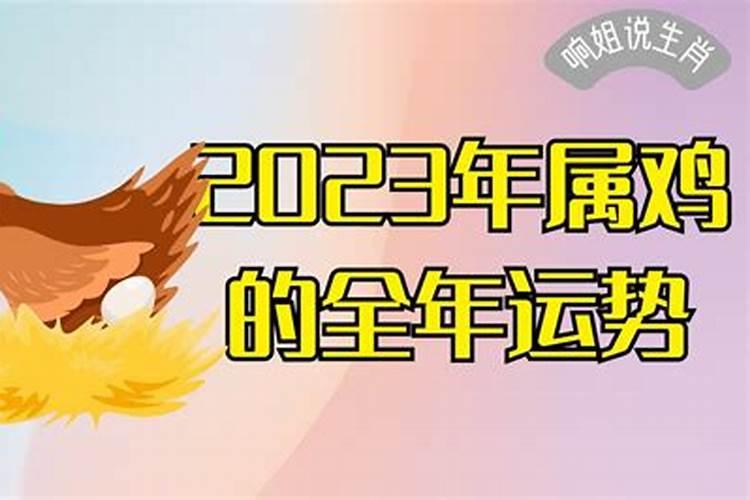 2023今日小鸡最新答案大全：技巧、分析与未来趋势预测