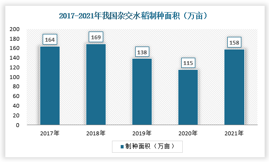 今日水稻价格波动分析：影响因素、市场行情及未来走势预测