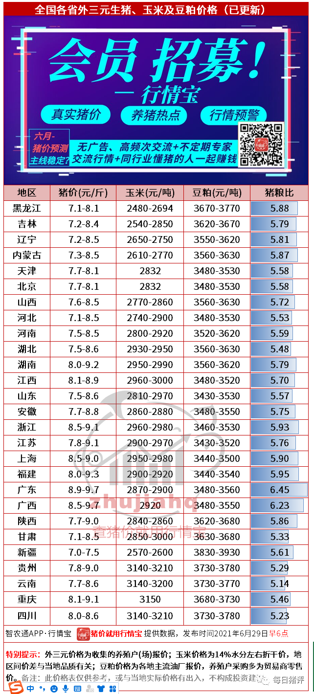 湖北猪价今日行情深度解析：影响因素、市场走势及未来预测