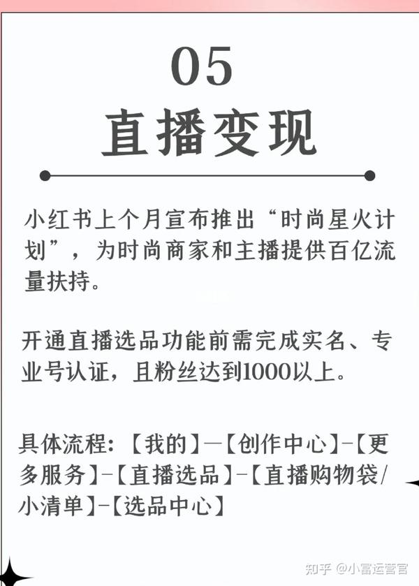 小红书最新变现方式深度解析：2024年博主赚钱新策略及风险规避