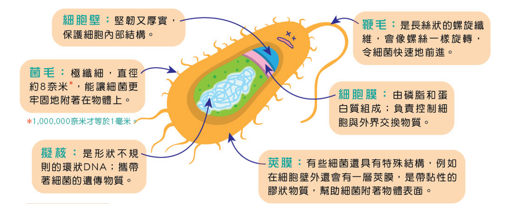 解读最新菌株标：技术革新、应用前景与潜在风险