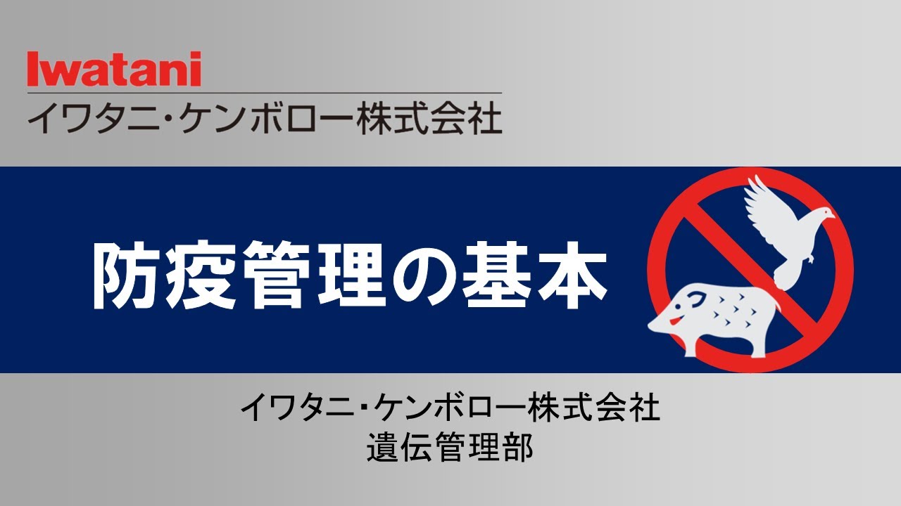 全球最新疫情形势深度解读：病毒变异、疫苗接种与未来挑战