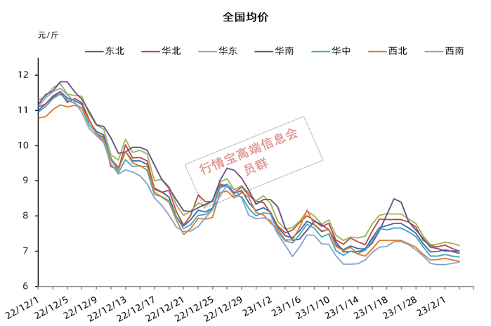 最新未来几天猪价预测：市场波动与未来走势分析