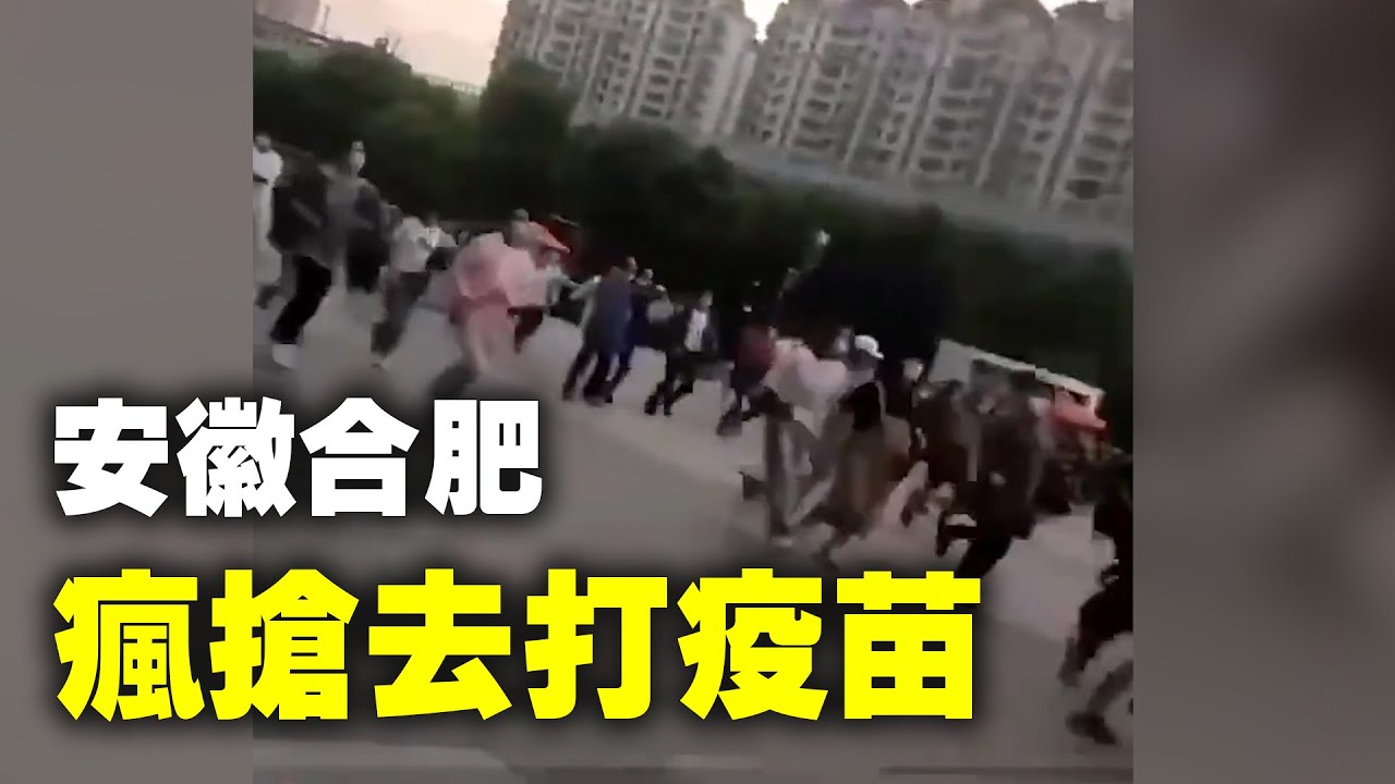 合肥最新冠状病毒疫情动态及应对策略分析：挑战与未来