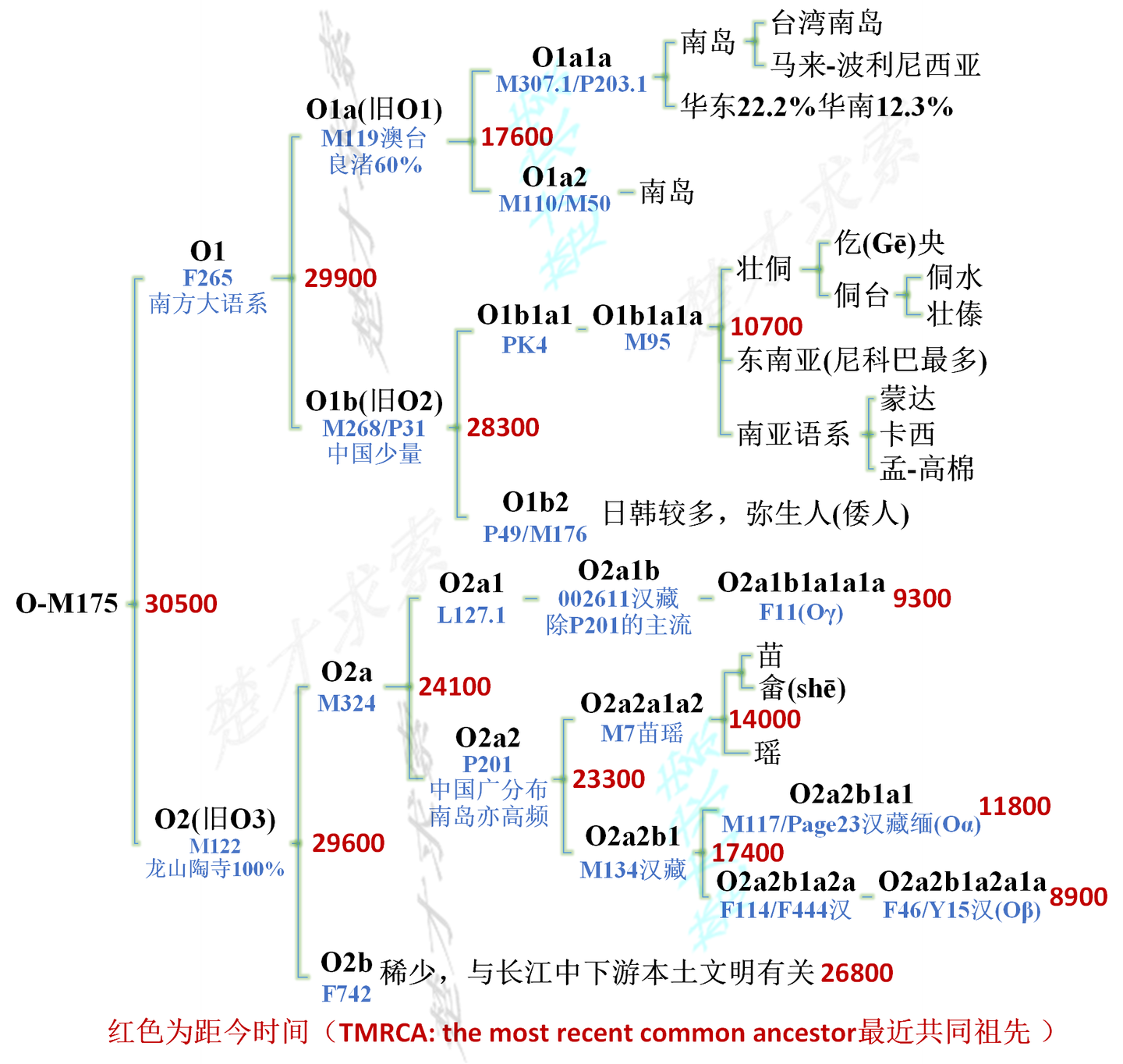 人类进化最新研究：基因、认知与未来演化趋势