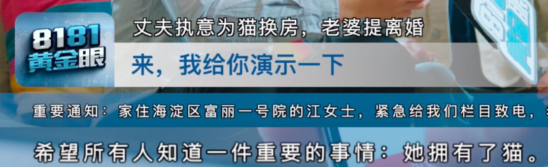 新s最新视频深度解析：内容生态、传播趋势及未来展望