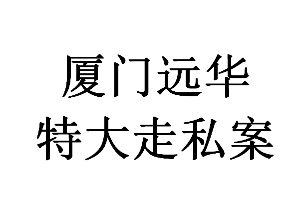 深度解读：莘县最新案件始末及社会影响分析