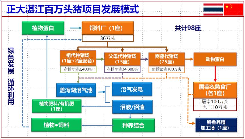 明日全国生猪价格最新预测：市场走势分析及未来趋势展望