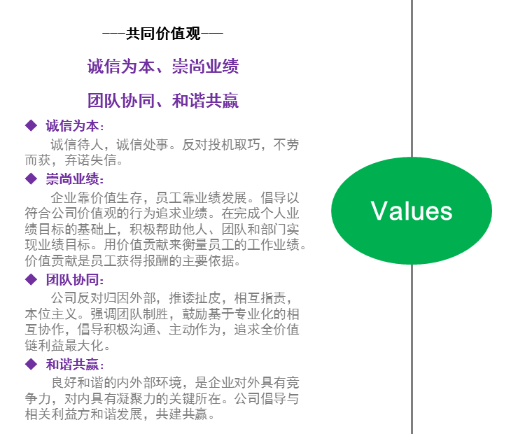 时代风华最新动态：深度解析发展趋势与未来挑战