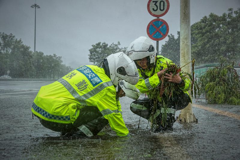 2024年7月厦门台风最新消息：风雨来袭，厦门如何应对？