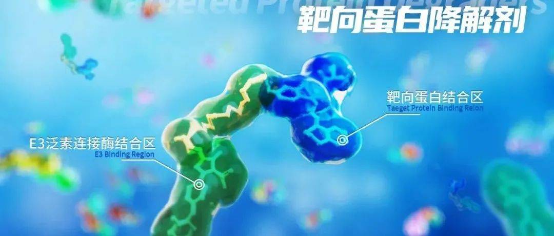 癌症治疗的最新方法：免疫疗法、靶向治疗及基因编辑技术的突破与挑战