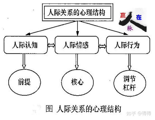 透视中国最新防疫状况：政策调整、社会影响及未来展望