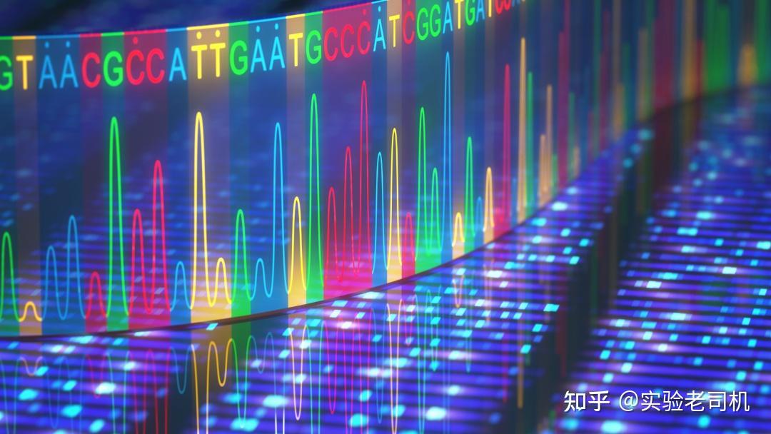 非肺炎最新研究：病毒性疾病诊疗新进展与挑战