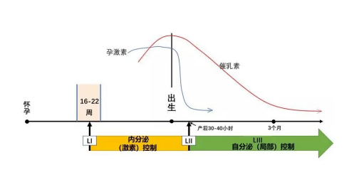 星河漫步 第49页