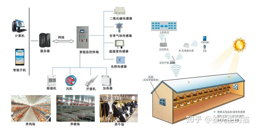 深度解析：最新牧原股市行情波动及未来发展趋势预测