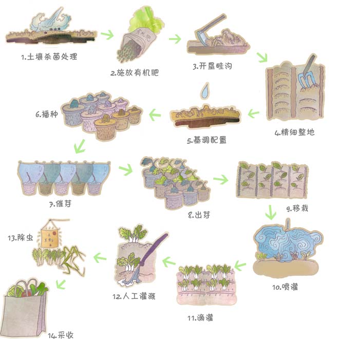 新手妈妈最新指南：解锁育儿新技能，轻松应对挑战