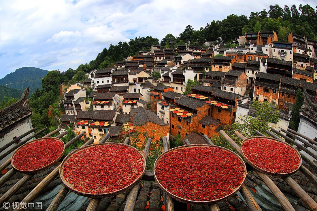 深度解读：婺源最新事件及对当地旅游业的影响