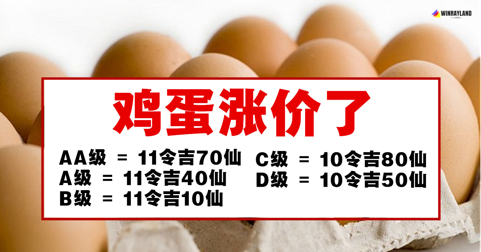 辽宁今日鸡蛋最新价格走势分析：市场行情、影响因素及未来预测