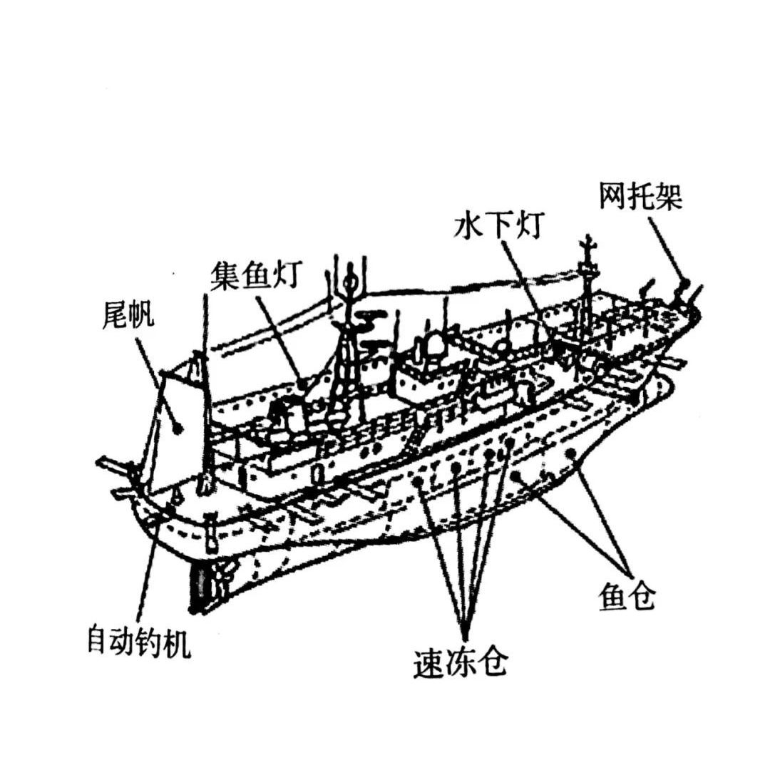 探秘最新打鱼网：技术革新、市场现状及未来发展趋势