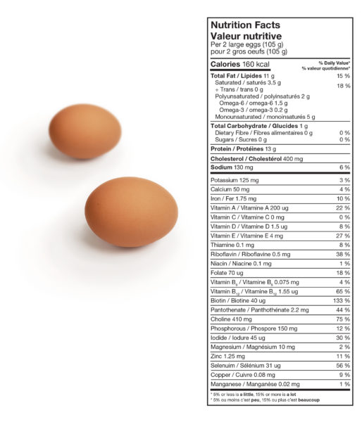 egg最新款深度解析：技术革新、市场趋势及未来展望