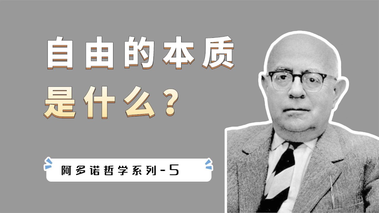 阿谷朵最新动态：产品升级、市场拓展及未来发展趋势预测