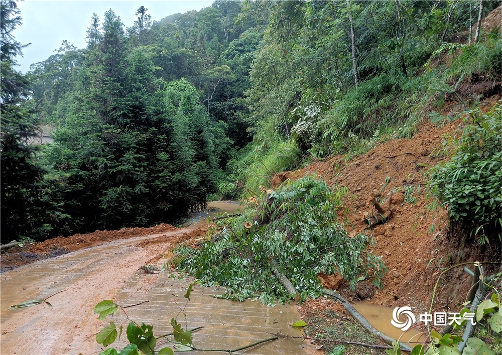 11号台风最新消息报：实时路径追踪、风雨影响及防御指南