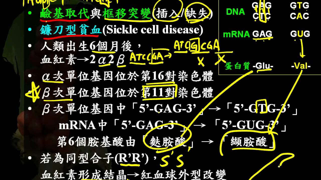 铁球女婺最新情况：反思和对未来的考虑