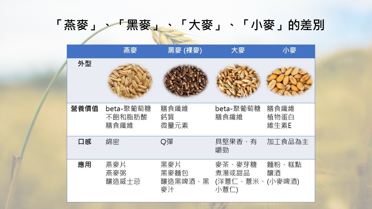 解码大麦最新品种：高产、优质、抗逆性突破与未来发展趋势