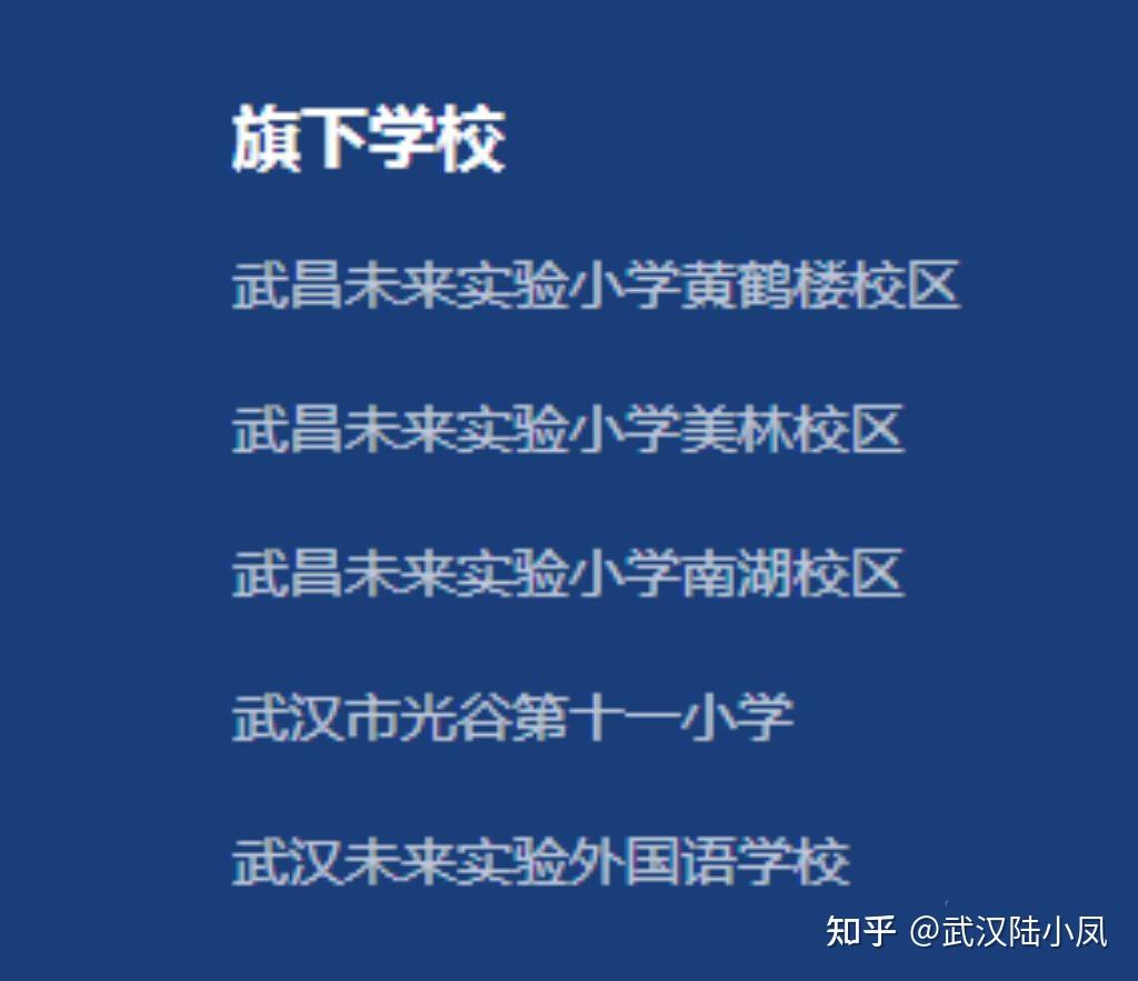 最新武汉报道：城市发展、经济变化以及新兴城市建设的前景