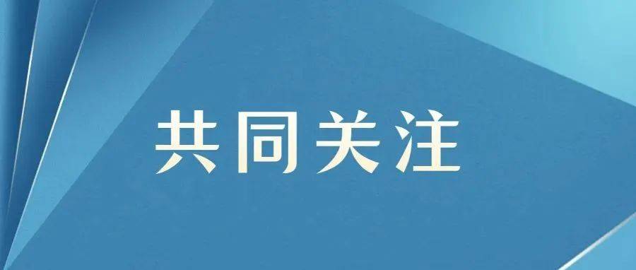 西李湾最新观点解读：发展机遇、挑战与未来展望