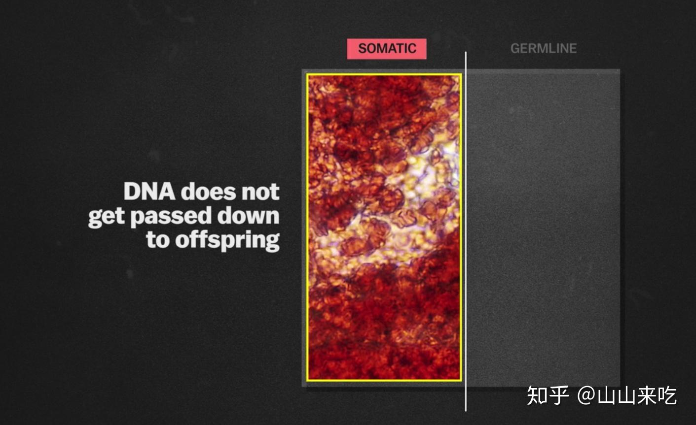 解码人类最新研究：基因编辑、人工智能与宇宙探索的未来展望