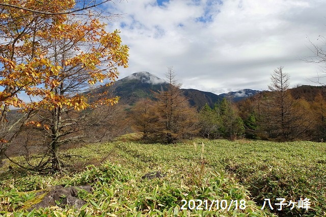 探秘岳峰最新小说：剧情走向、人物塑造与创作风格独家解读