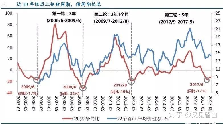 天天最新猪价行情分析：市场波动、养殖现状及未来趋势预测