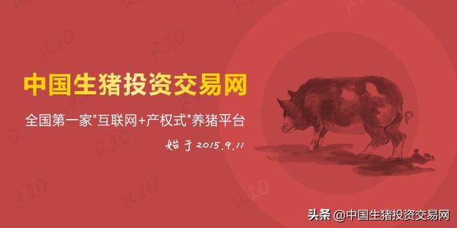 广州猪血最新资讯：市场行情、安全隐患及未来发展趋势