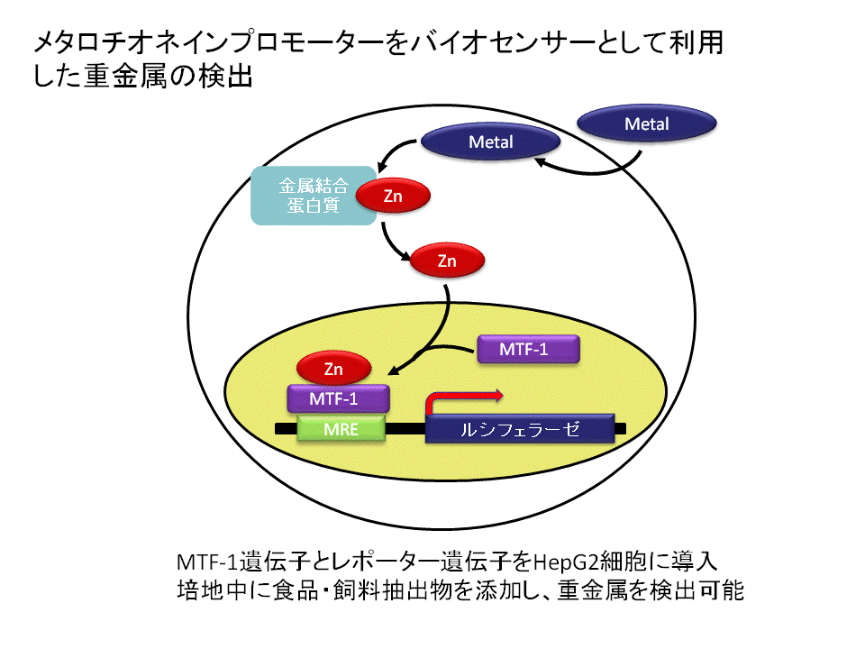 陶澍教授最新研究：环境污染物溯源及控制策略的创新探索