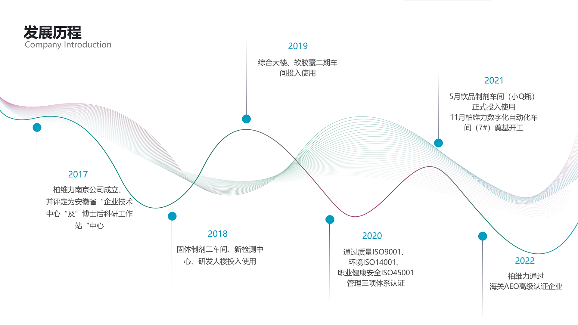 证道记最新动态：深度解析剧情走向、人物关系及未来发展趋势