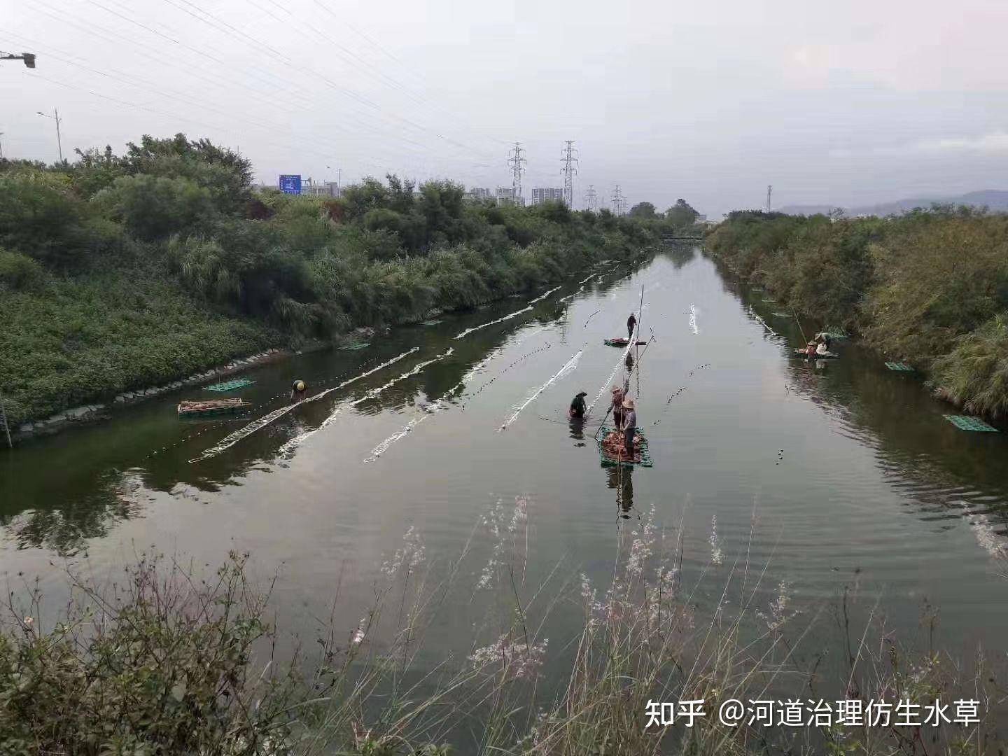 金台区硖石河最新消息：水质治理、生态修复及周边发展规划