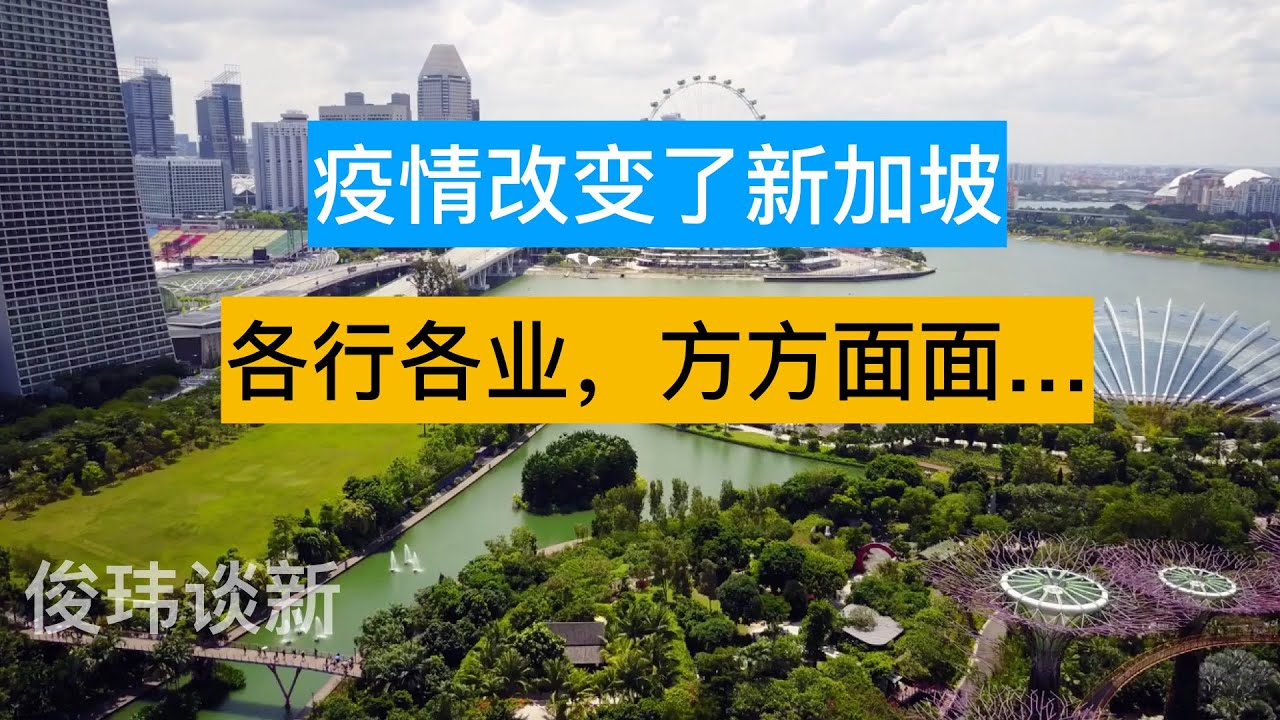 新加坡公布最新疫情：病例数波动与防控策略调整分析