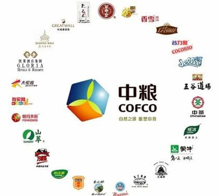 后的最新系列：深度解析及未来展望