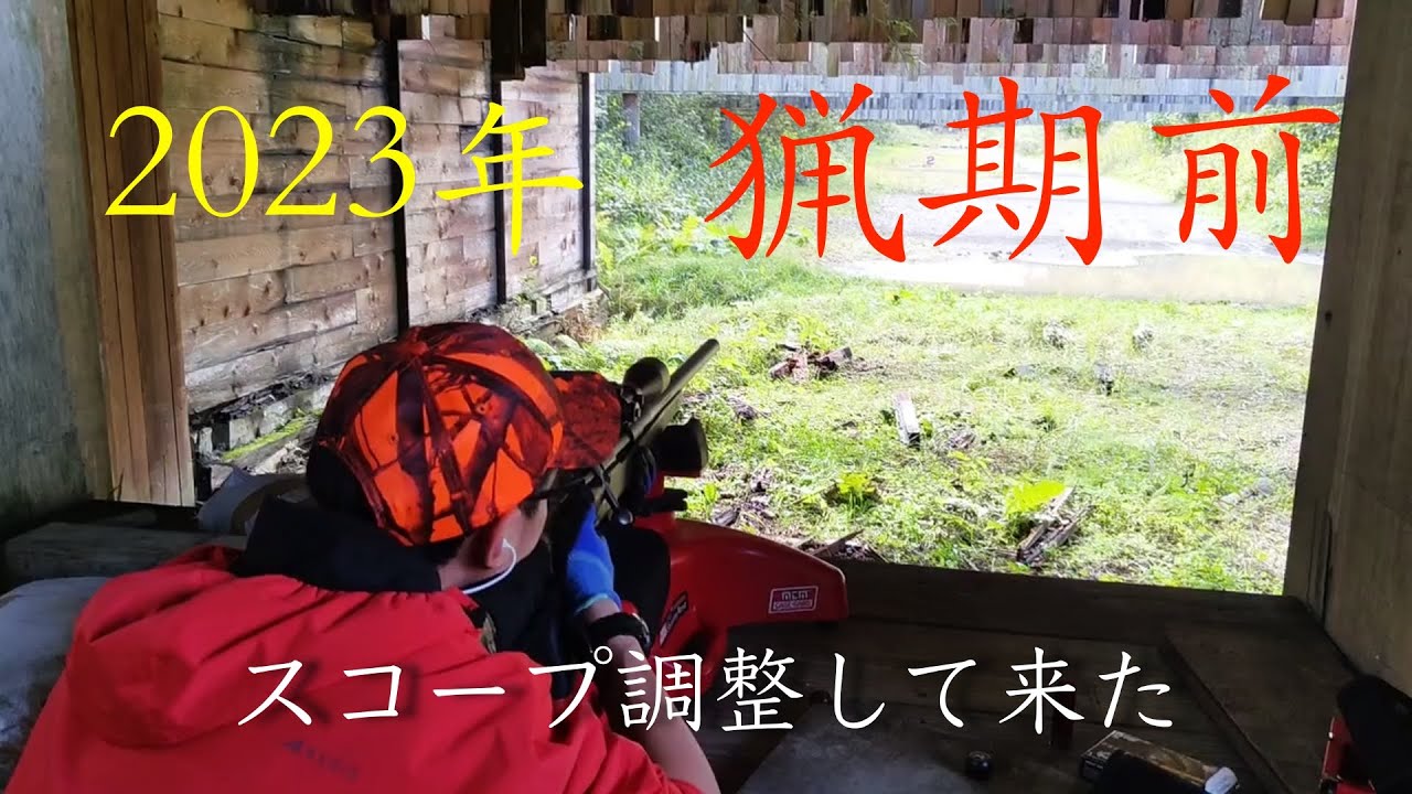 最新蜂鸟3深度解析：技术革新、市场前景及潜在挑战