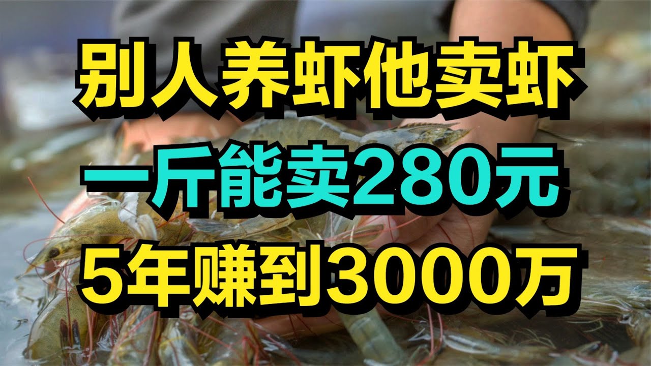 最新南美虾市场分析：价格走势、品质提升与未来发展趋势预测